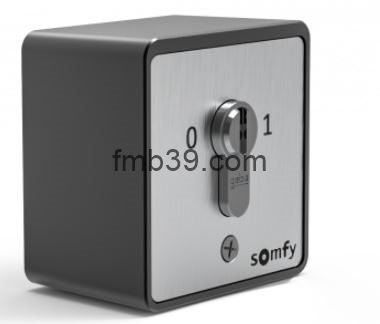 Commandes et automatismes Contact à clé universel SOMFY 
