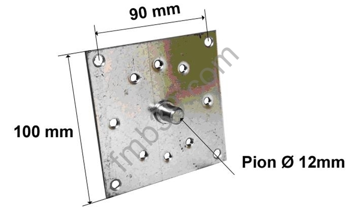 Équerres et plaques supports Plaque support acier pion Ø 12 mm
