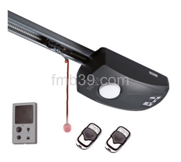 Motorisations Moteur pour porte de garage Selve GDO